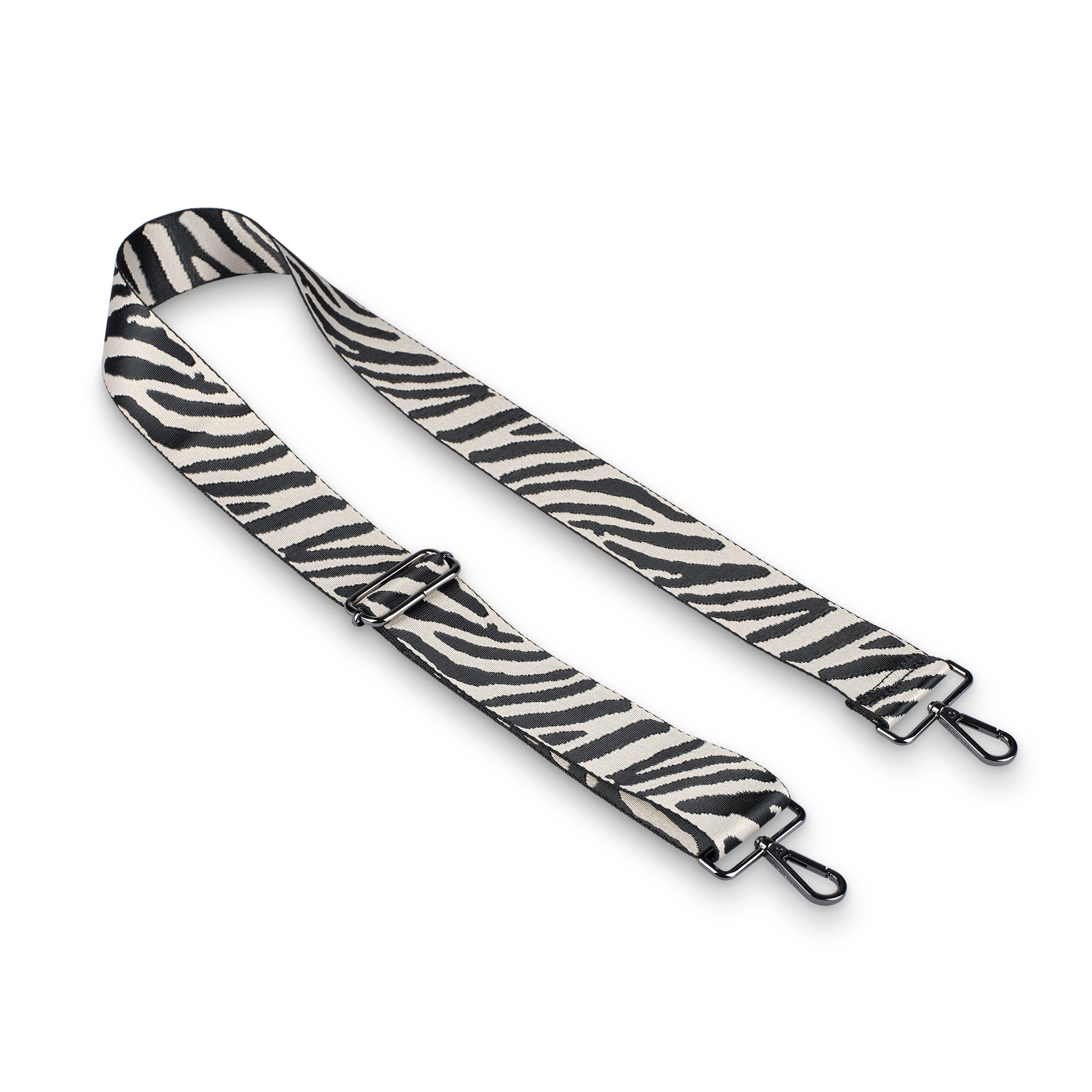 Zebra in the Wild Black